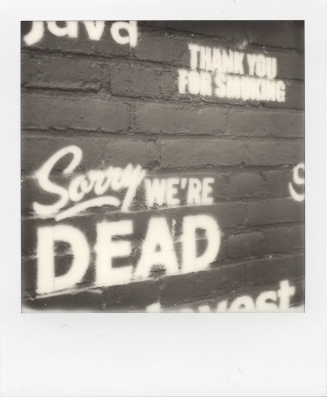 21_dead.jpg