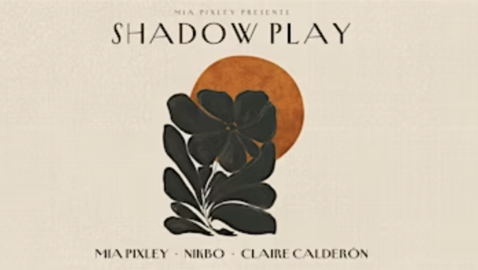 Shadow Play: a new interactive performance series that invites us into our inner worlds in community