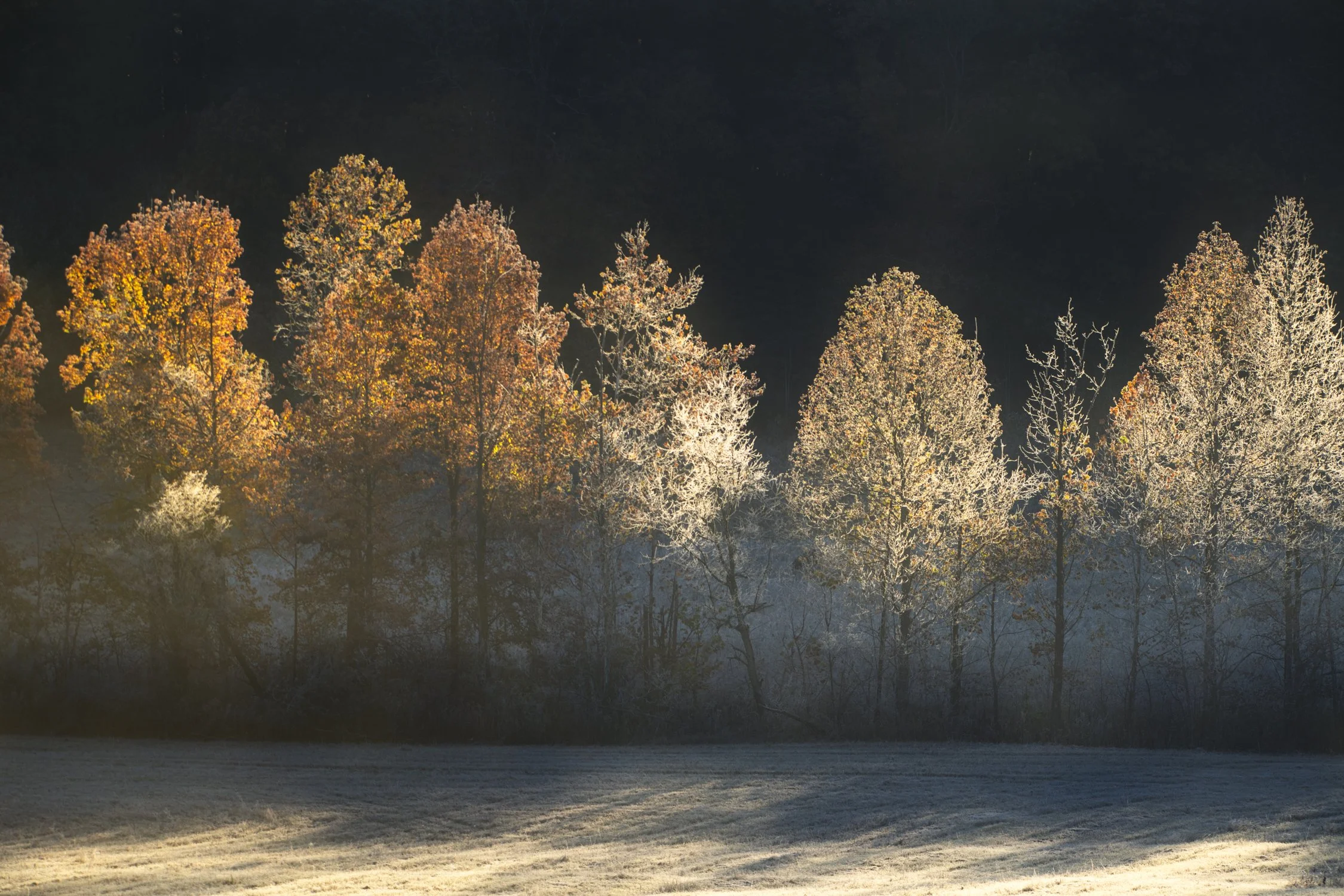 DSC_2268-Edit.jpg