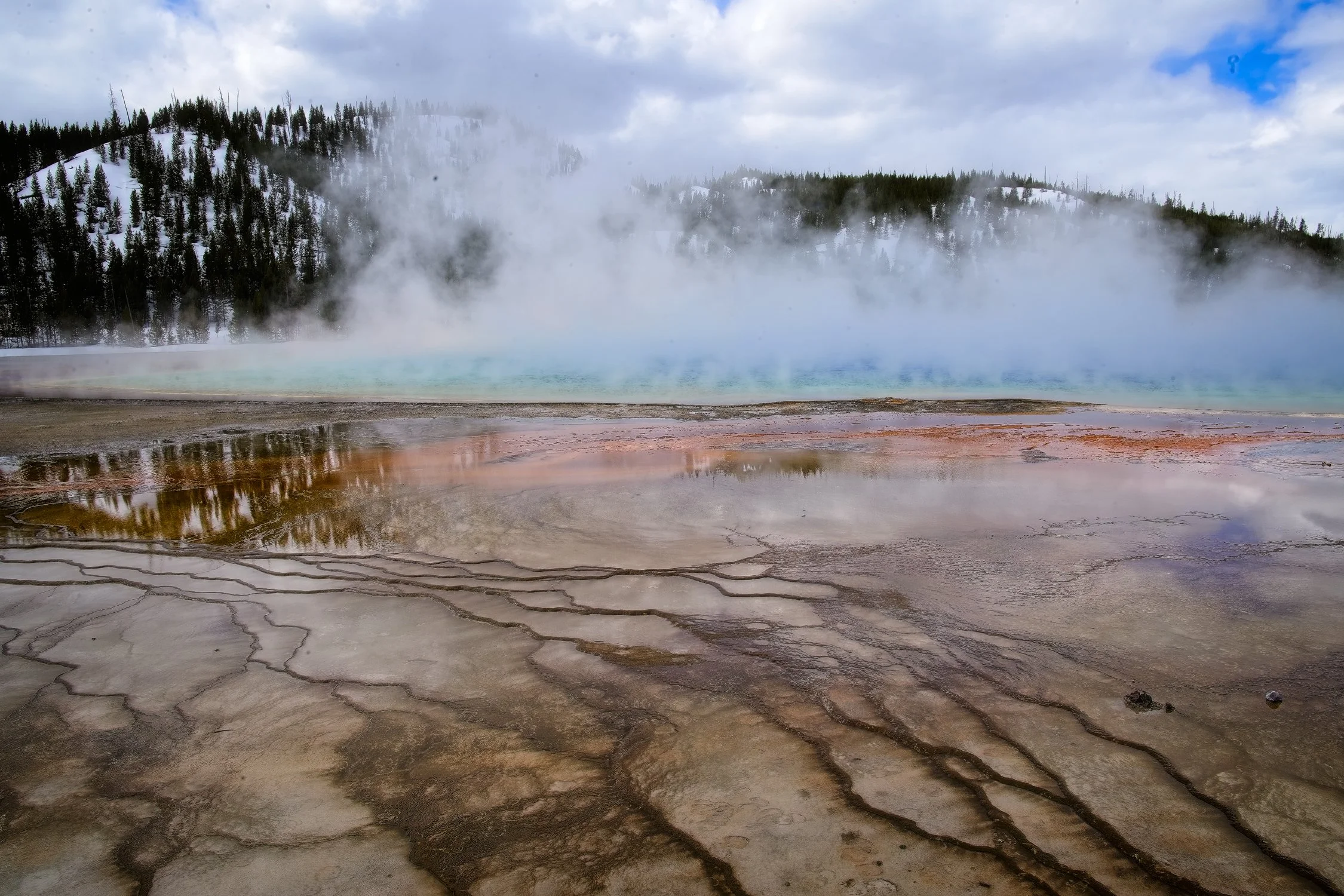 SD5_5848 Smart Photo-Edit.jpg