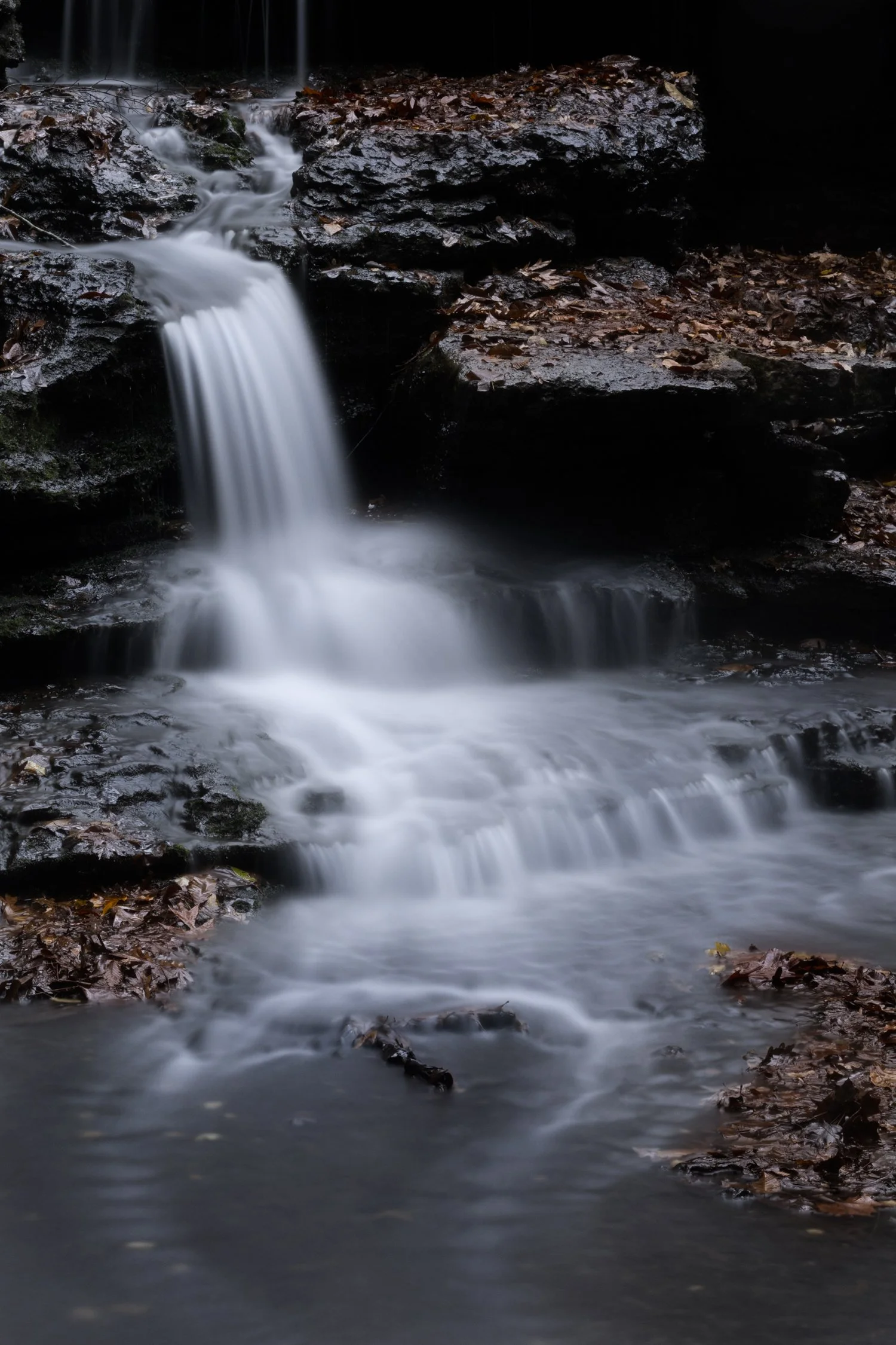 _Z922846-Edit.jpg