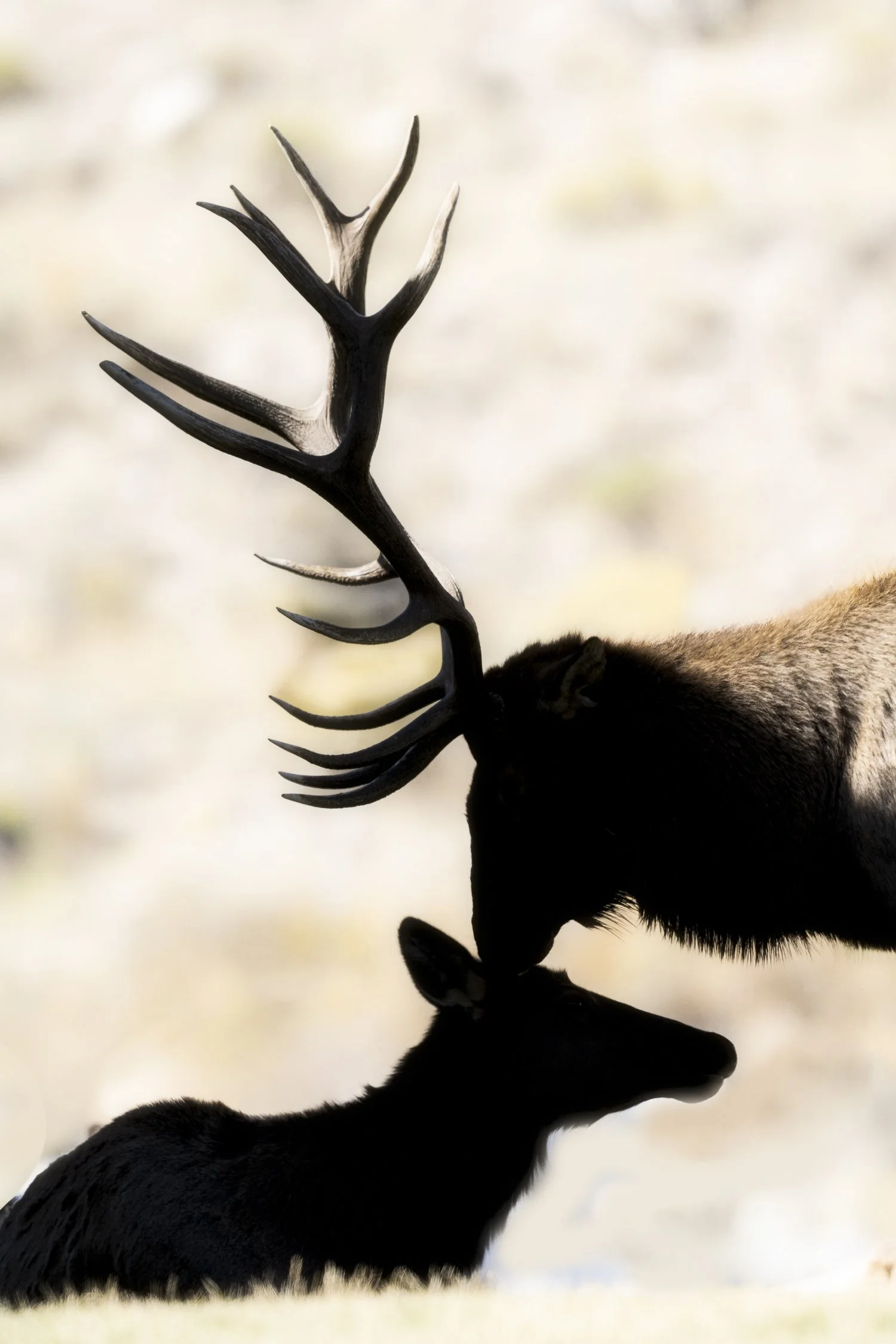 SD9_3973-Edit-Edit-2.jpg