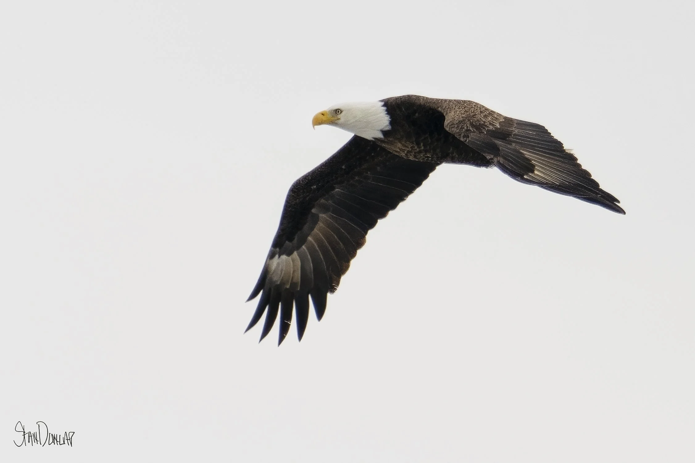_Z926145-Edit-Edit.jpg