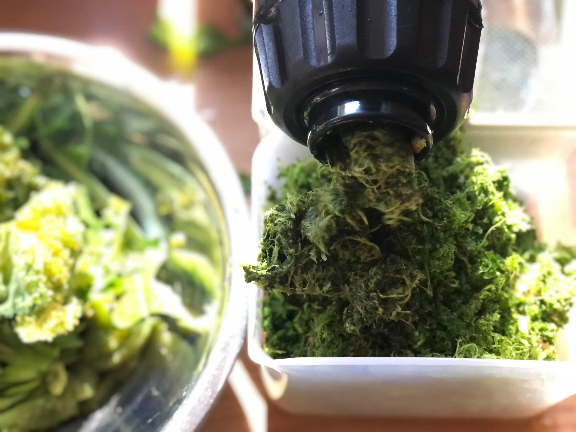 Juicers: From waste makers to waste cyclers