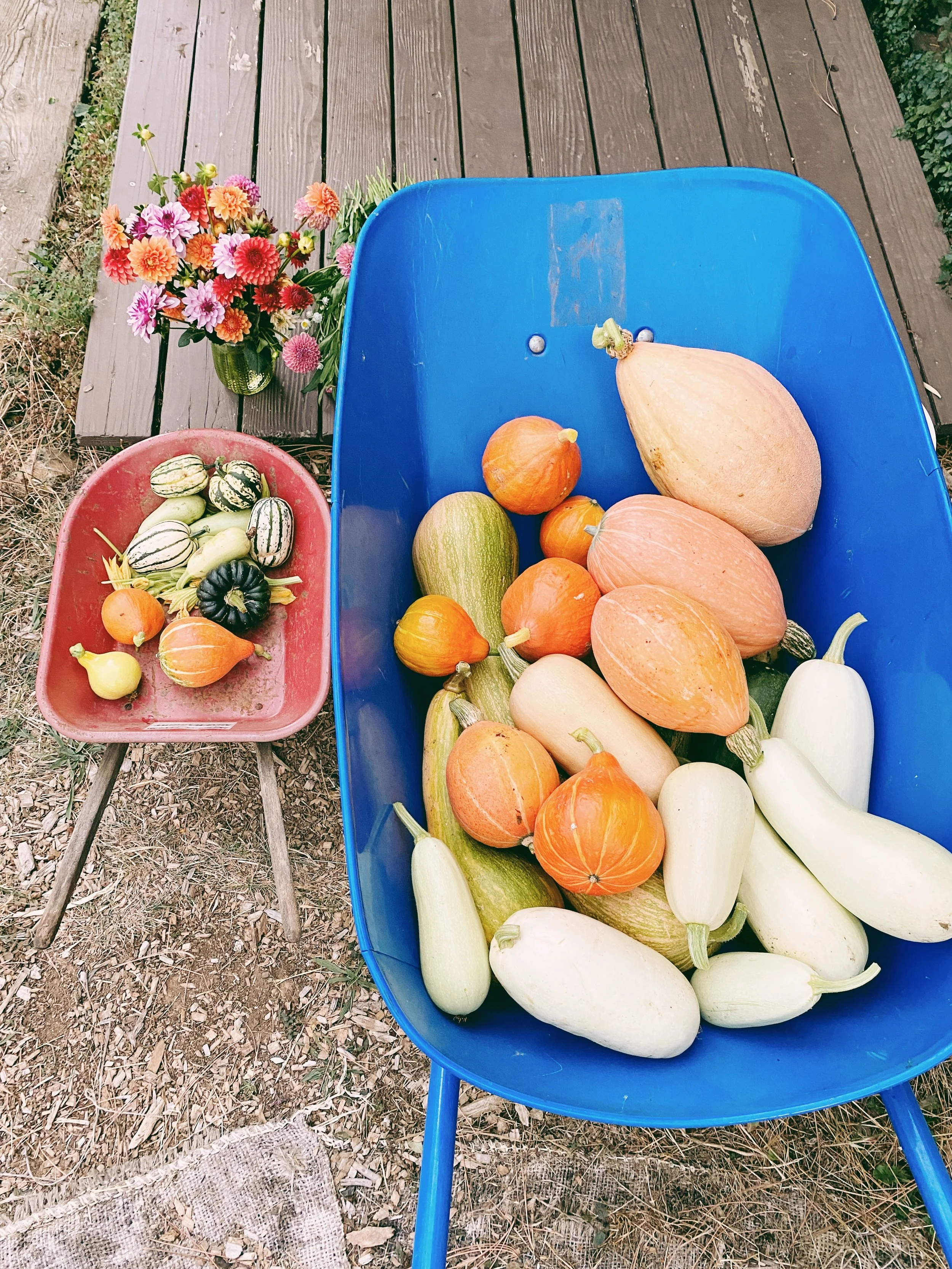 Creating a Place-Based Holiday Tradition