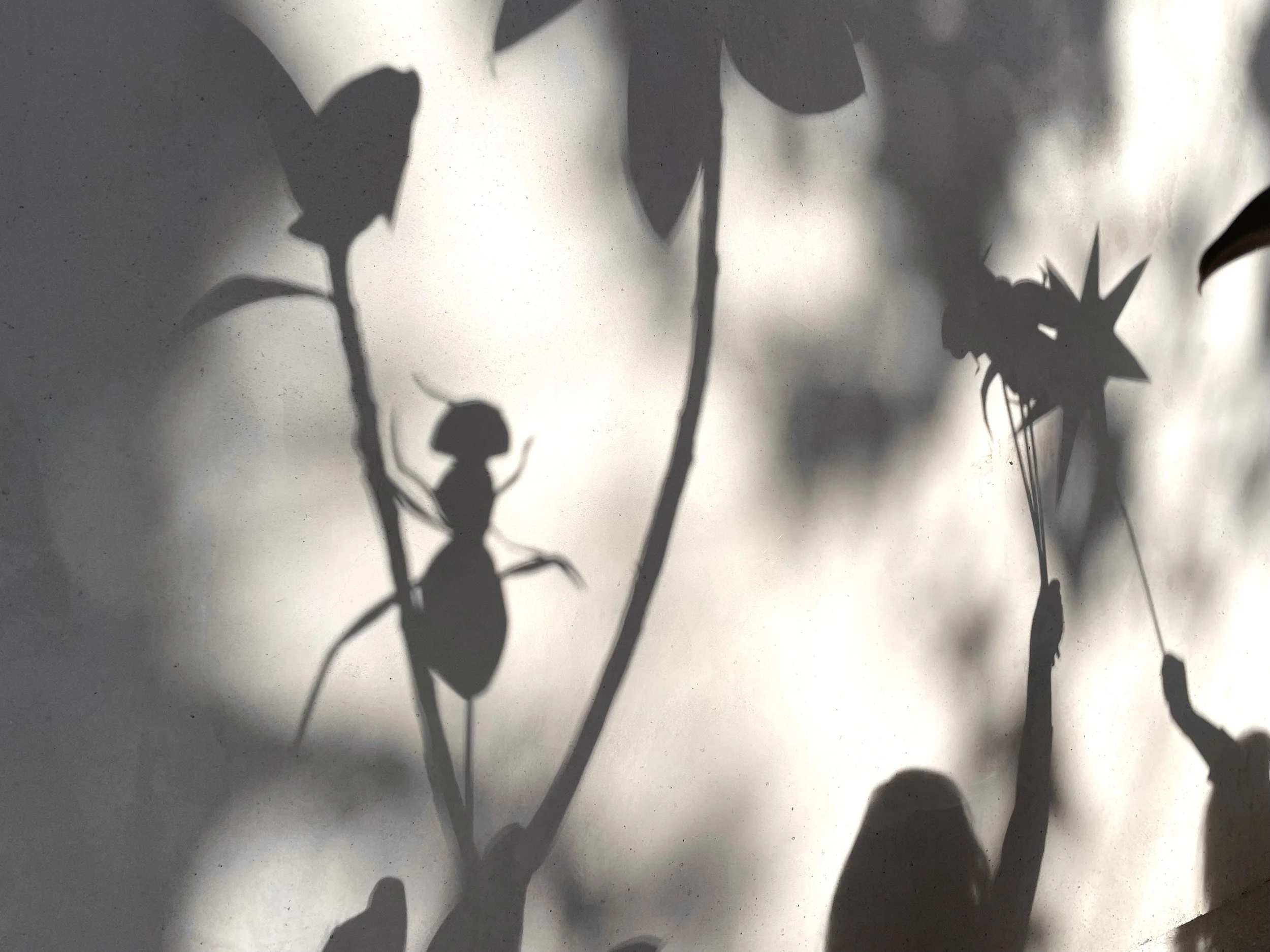 Celebrate Summer With A Solar Puppet Show