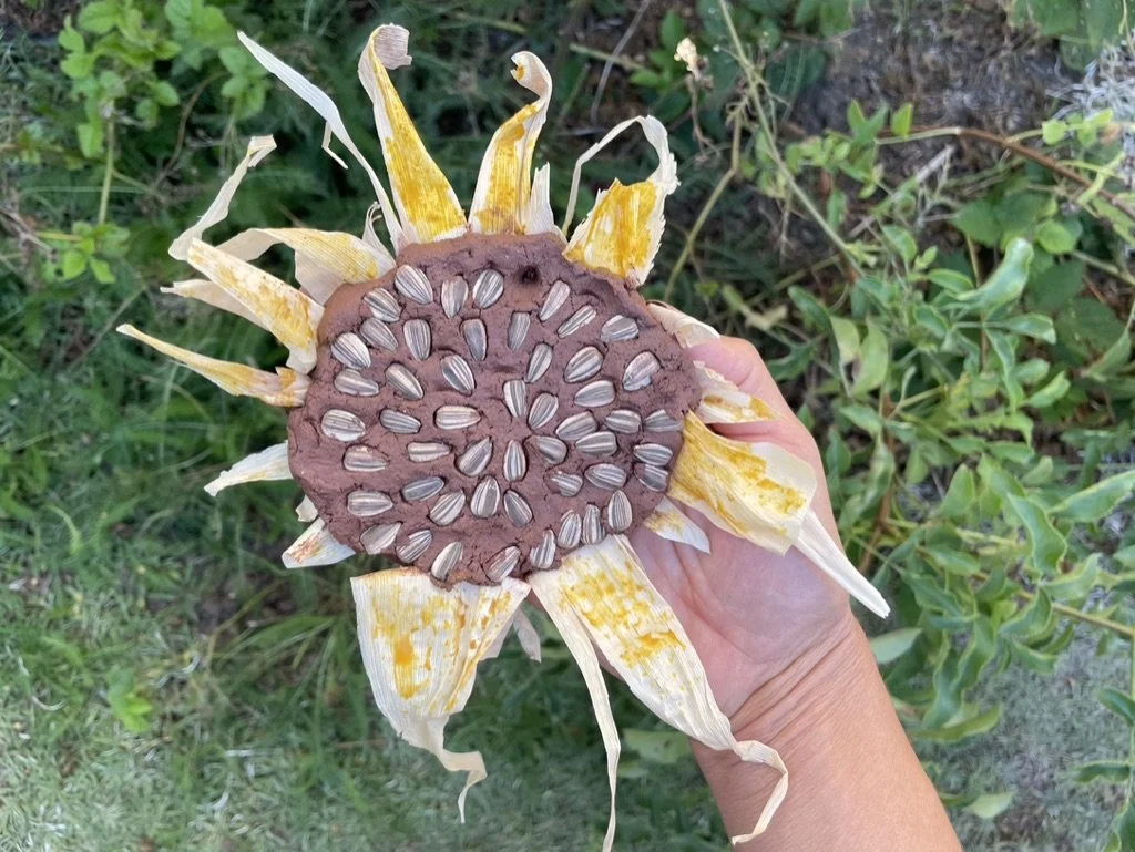 Activity: Clay Seed Shapes