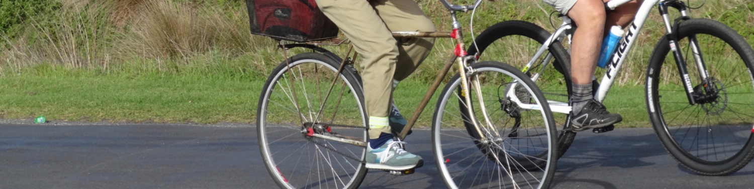 banner2.jpg