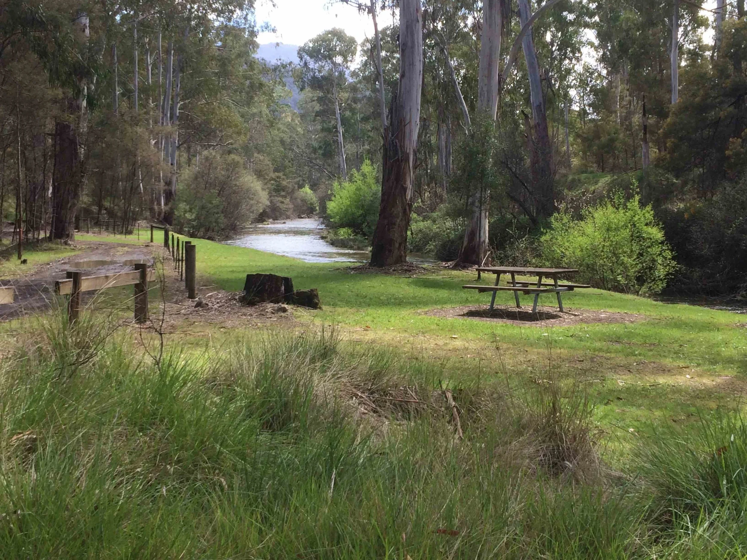 The Buckland River