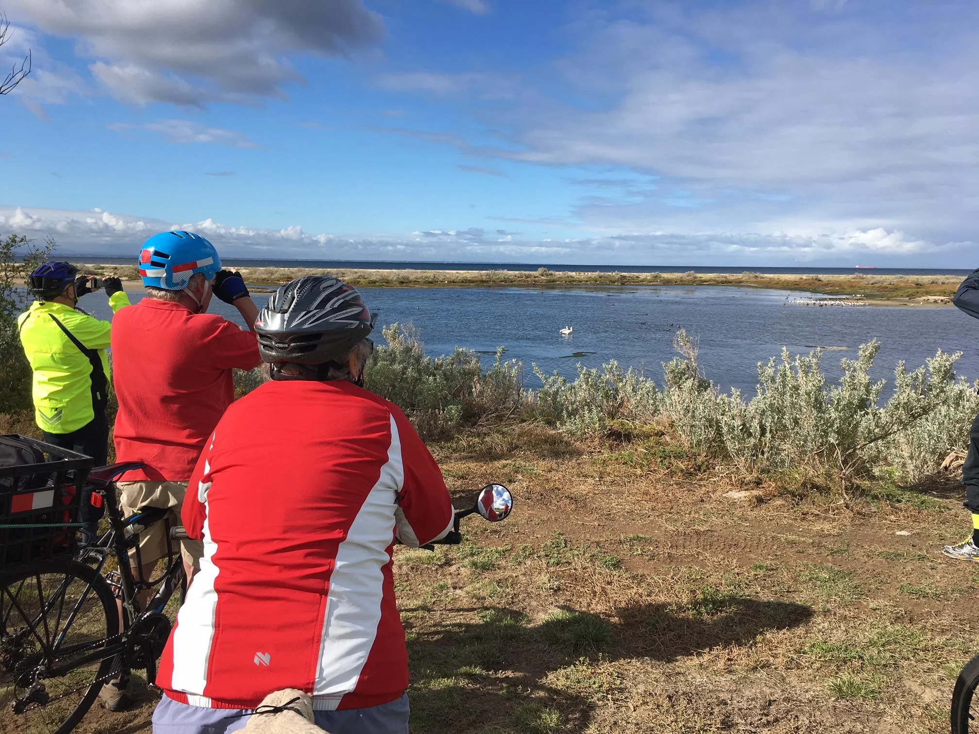 Birdwatching at Altona.