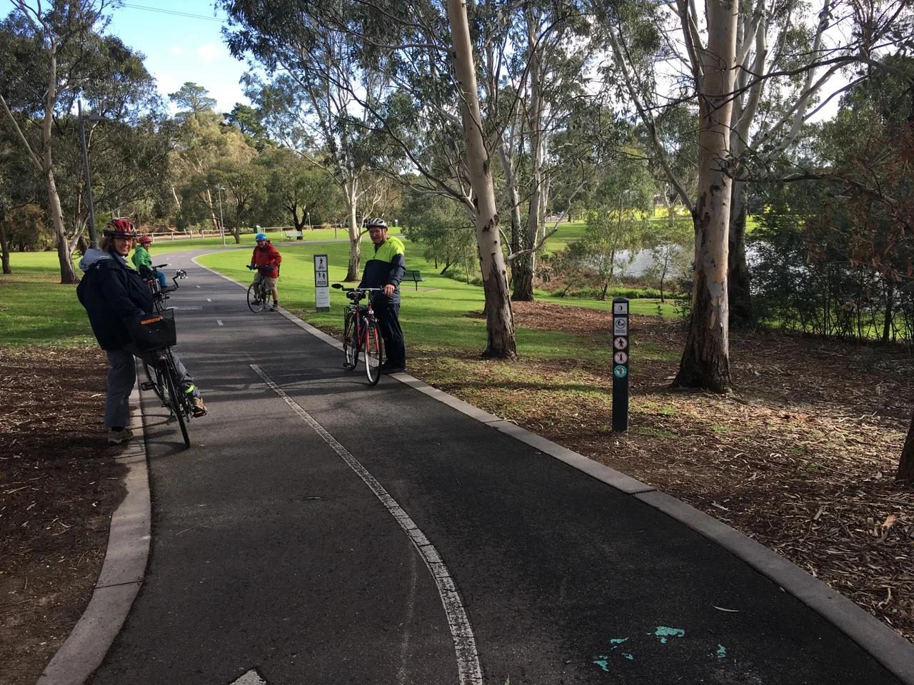 Gardiners Creek Trail in Dorothy Lavers Reserve