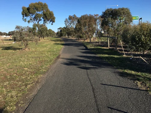 The path alongside the ring road.