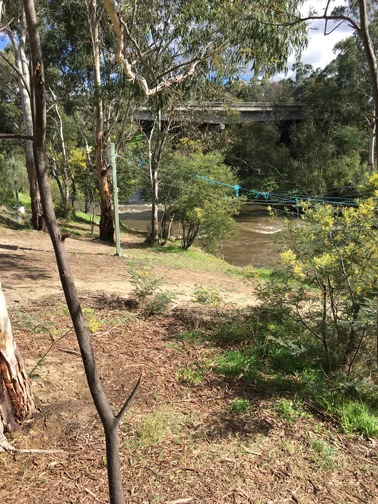 Canoeing is popular on the Yarra.