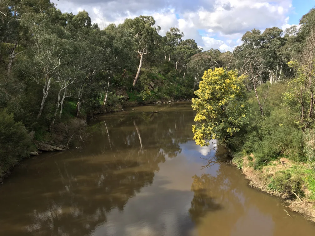 The Yarra River near Odyssey House.