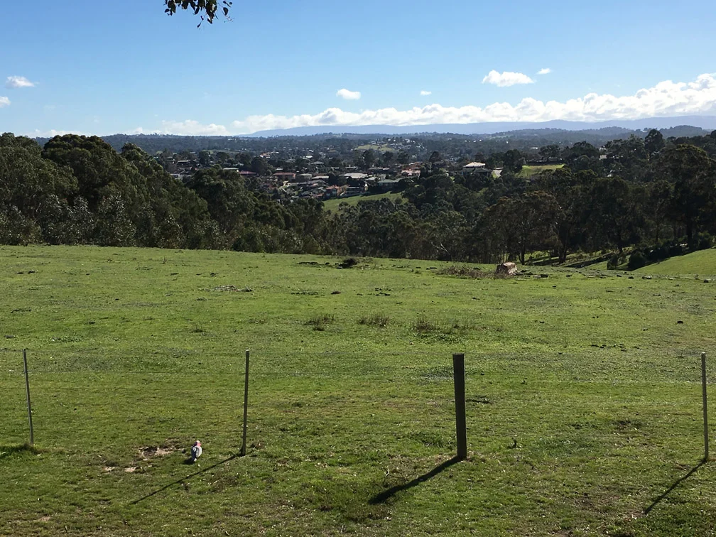 Views towards Kinglake.