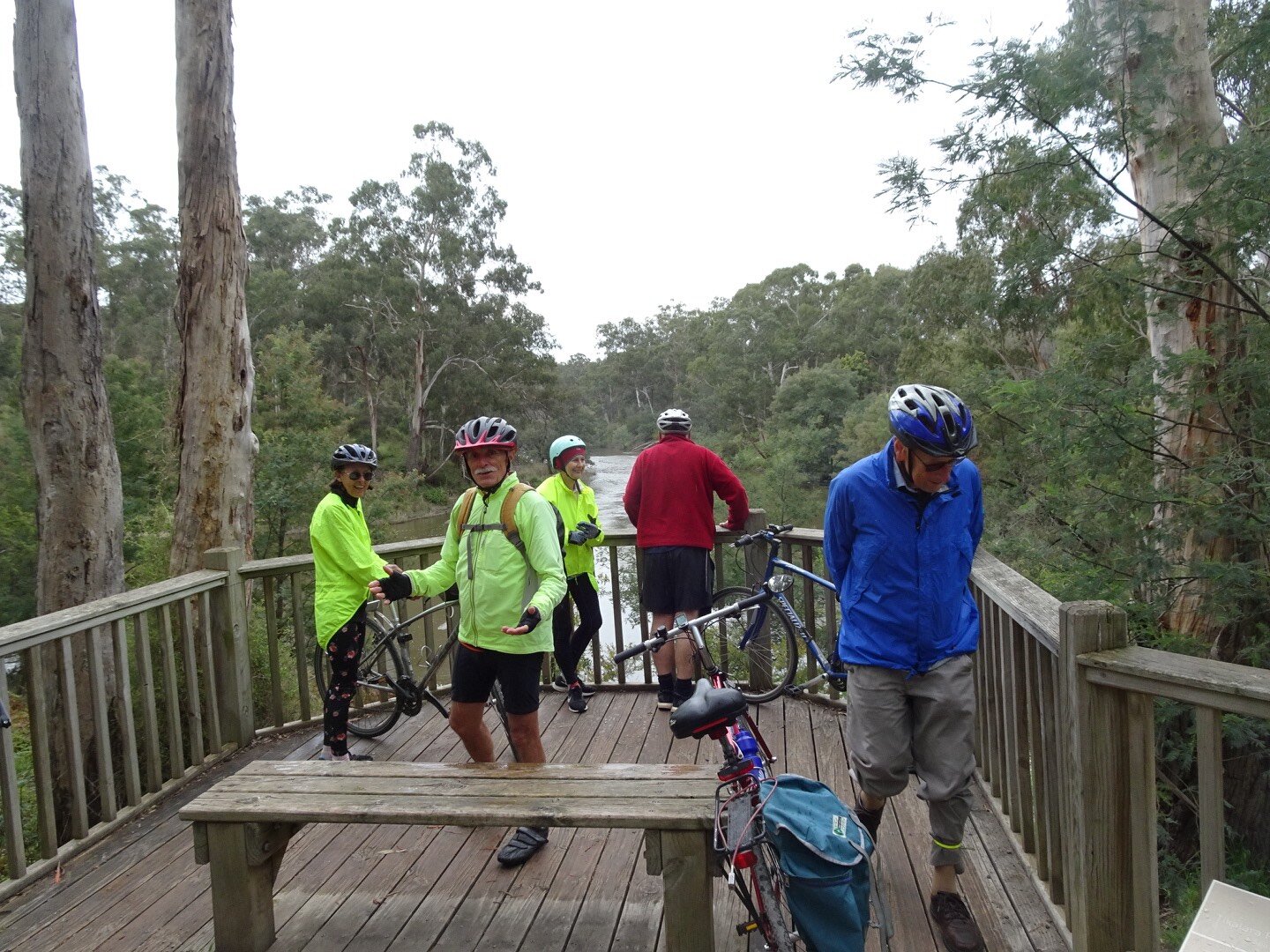 The conflux of the Yarra R. and Mullum Mullum Ck.