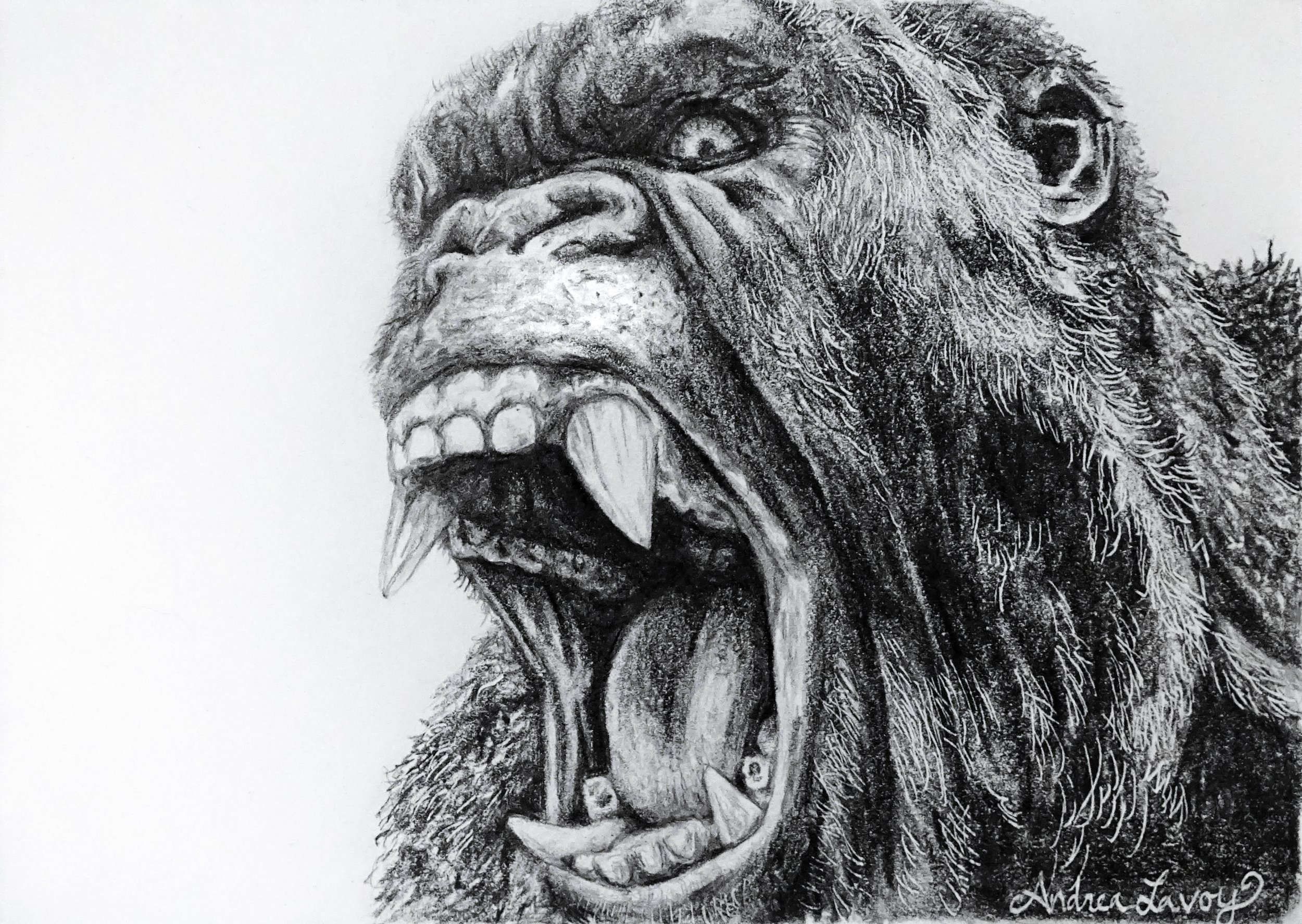 Andrea Lavoy King Kong.jpg