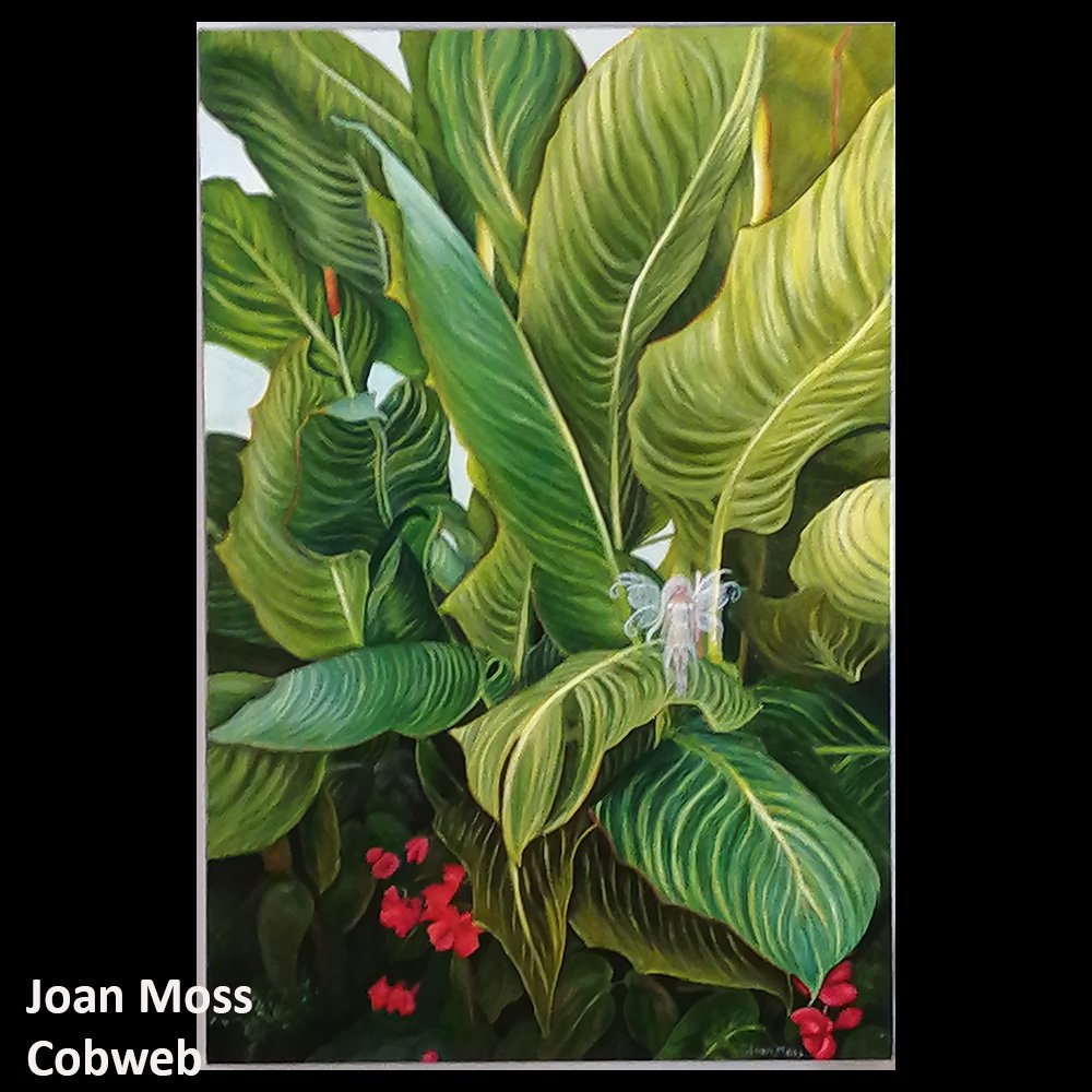 Joan Moss Cobweb.jpg