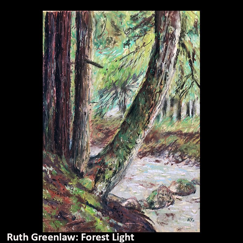 Ruth Greenlaw Forest Light.jpg