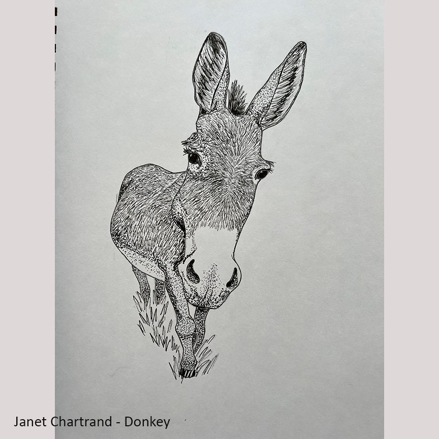 Donkey - Janet Chartrand.jpg