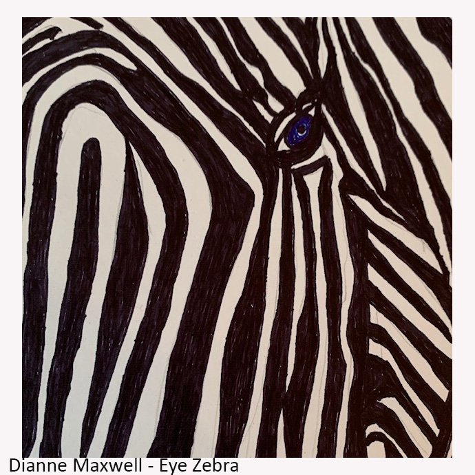 Eye Zebra - Diane Maxwell.jpg