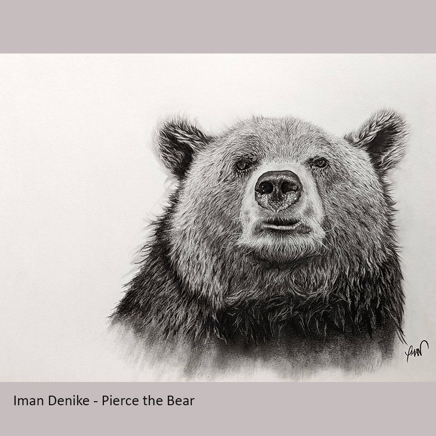 Iman Denike - Pierce the Bear.jpg