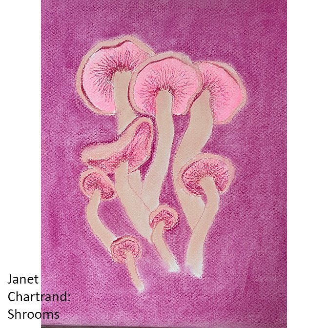 Shrooms by Janet Chartrand.jpg