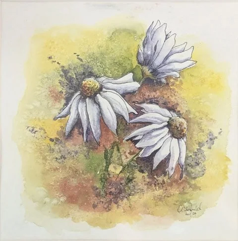Deb Oldfield