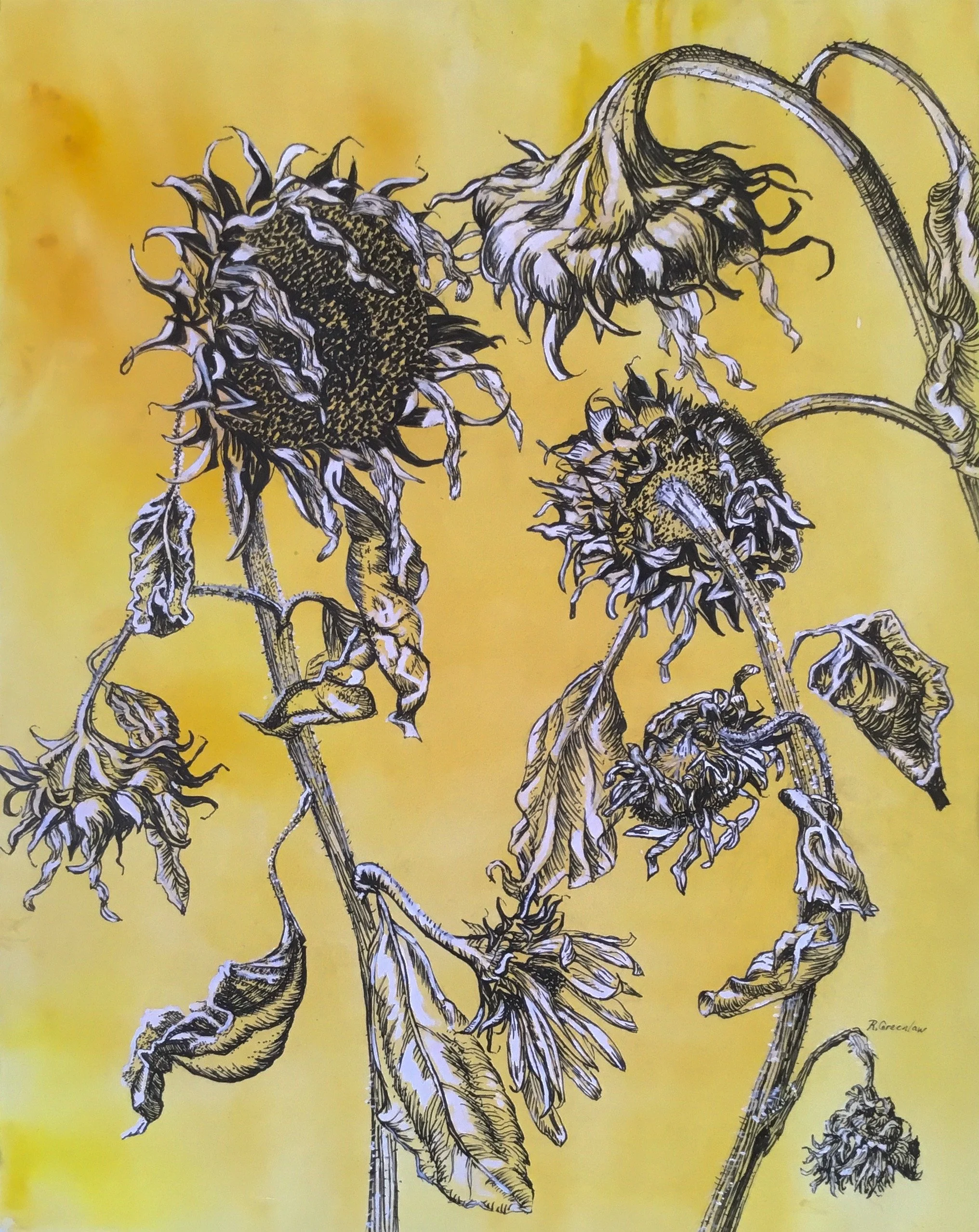 sun-withered flowers painting by Ruth Greeenlaw