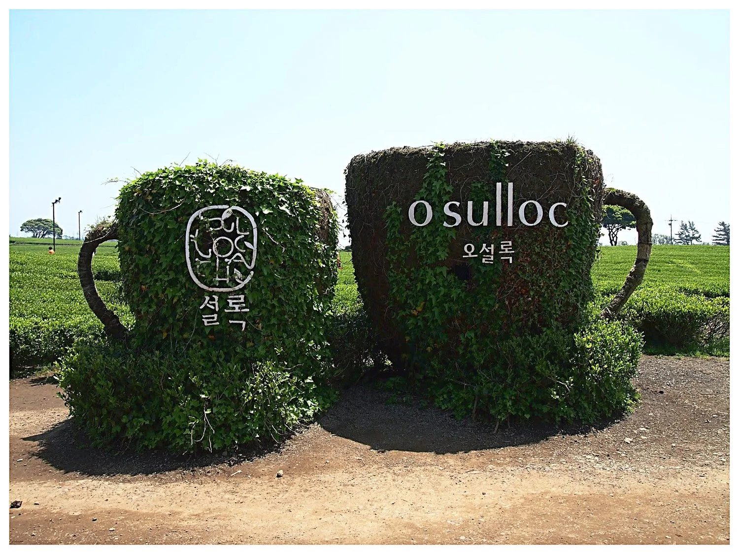 O’sulloc+Museum+(Green+Tea+Museum).jpg