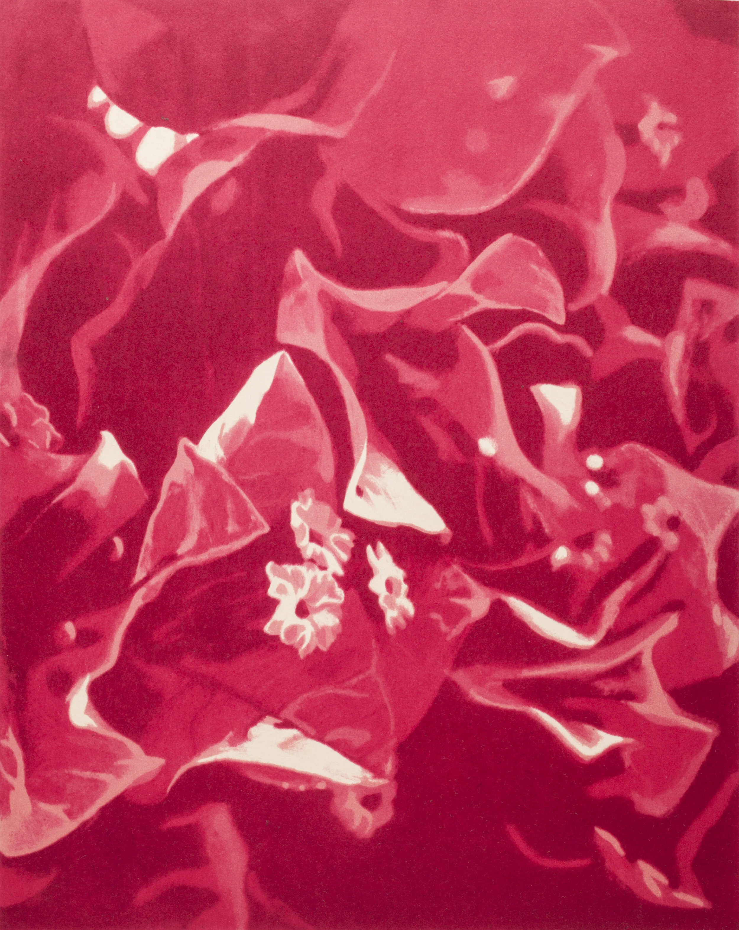 Artist — Andrew Eckhardt Prints