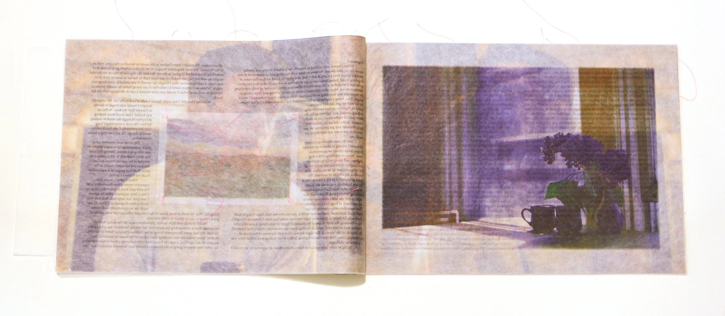 p14.jpg