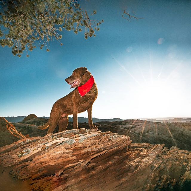 You will be my light... Even in the most desolate places.. I know my way because of you..
..................................................................
Day 2 at Moab... We took the truck into the back of Sand Flats.
.
The road vines, twists and 