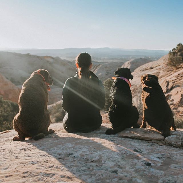 Hey ma! We go up hill down rock through bush under tree.. See
.
Umm Nims.. Where the heck are we going?
.
Is not clear?
.
No Nemo..
.
To see oz!
.
Nemo that's a movie..
.
No! Is tru I haz wish!
.
What wish, Nims?
.
I ask unlimited 🥎. I smart..
.
Dyl