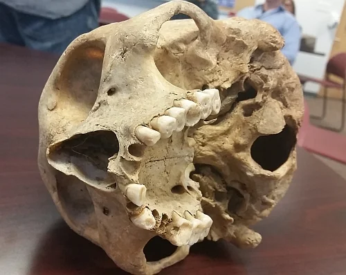 skull3