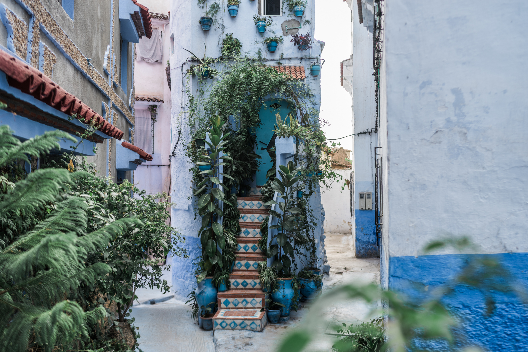 Chefchaouen (3 of 18).jpg