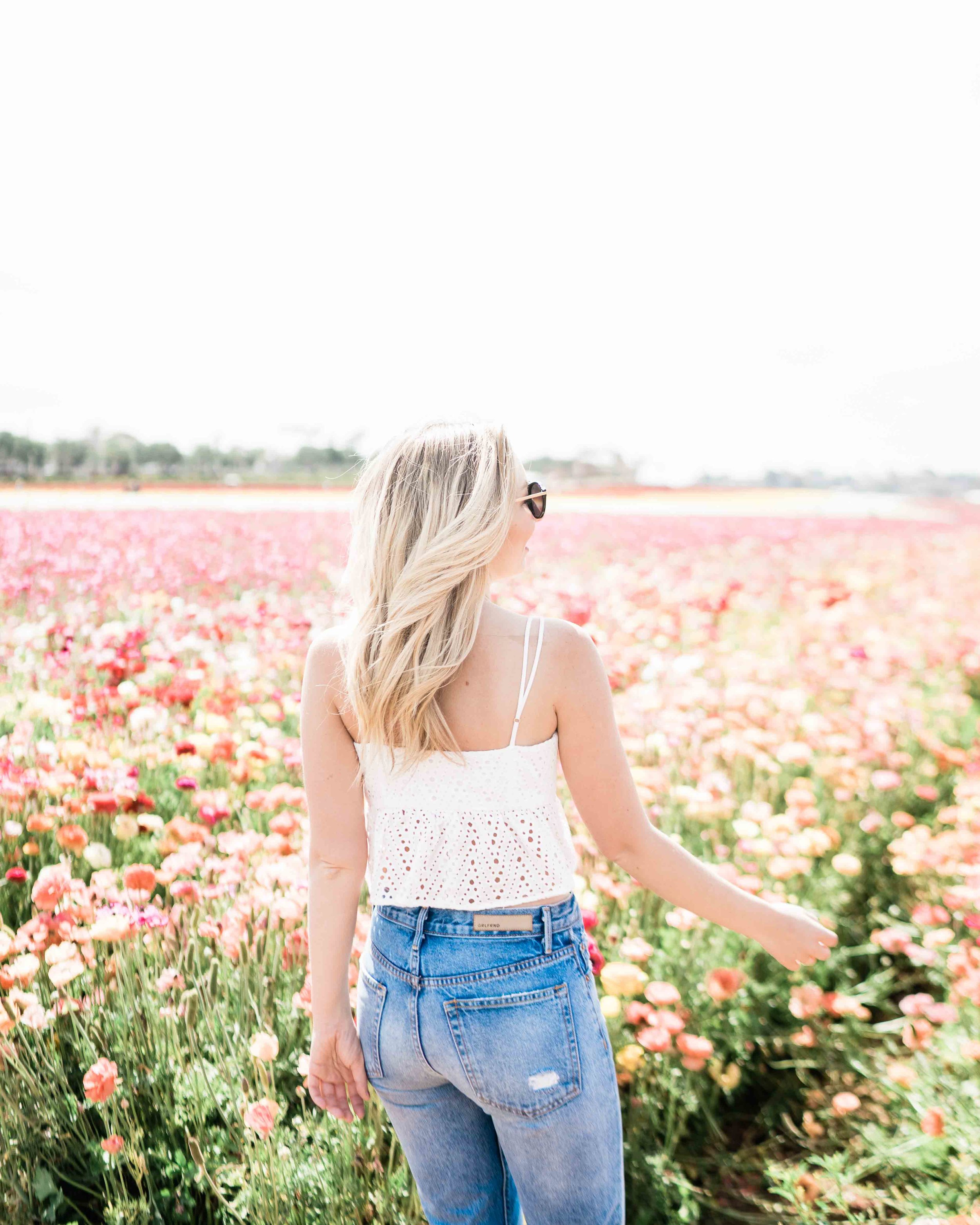 Carlsbad Flower Field Photos