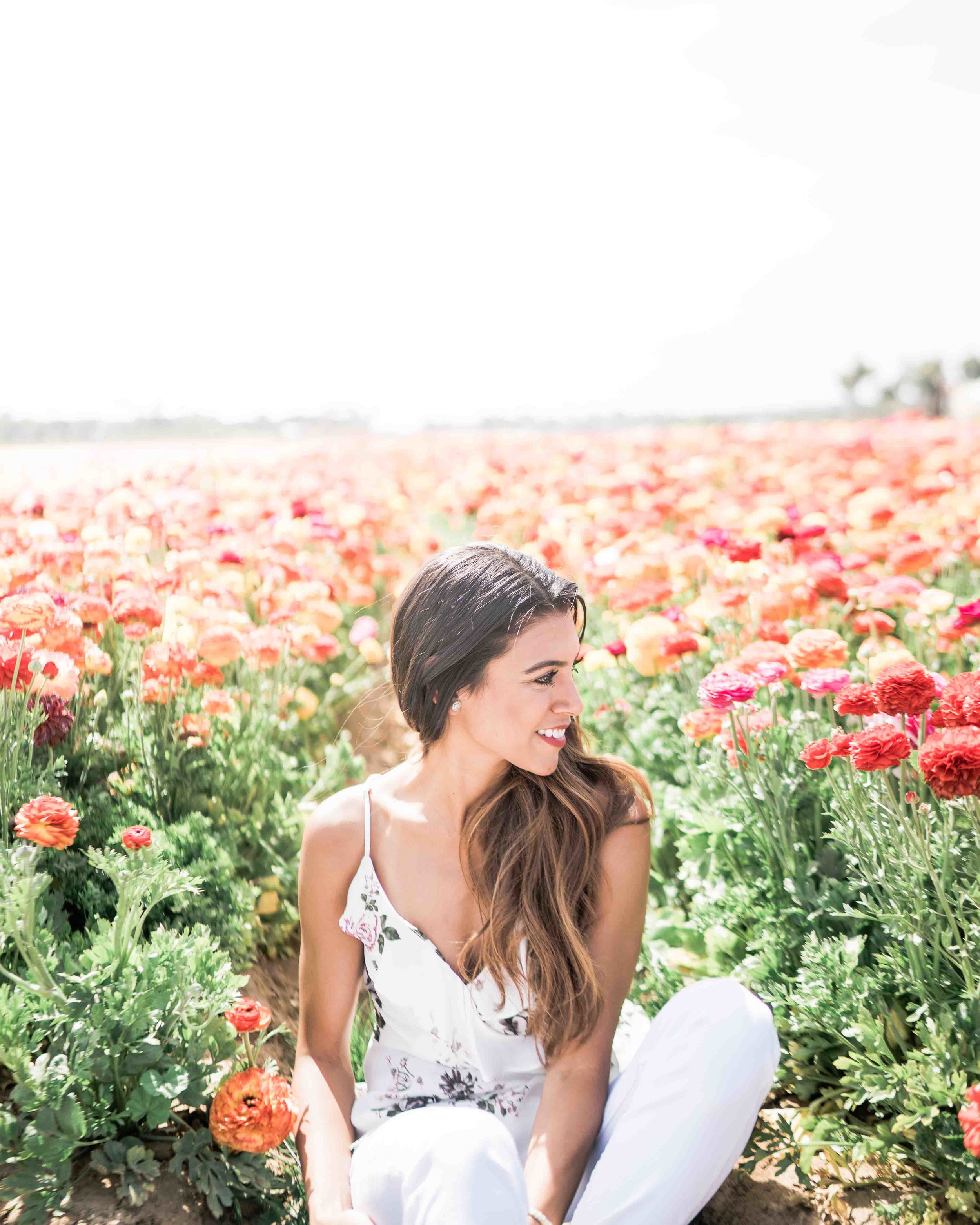 Carlsbad Flower Field Photos