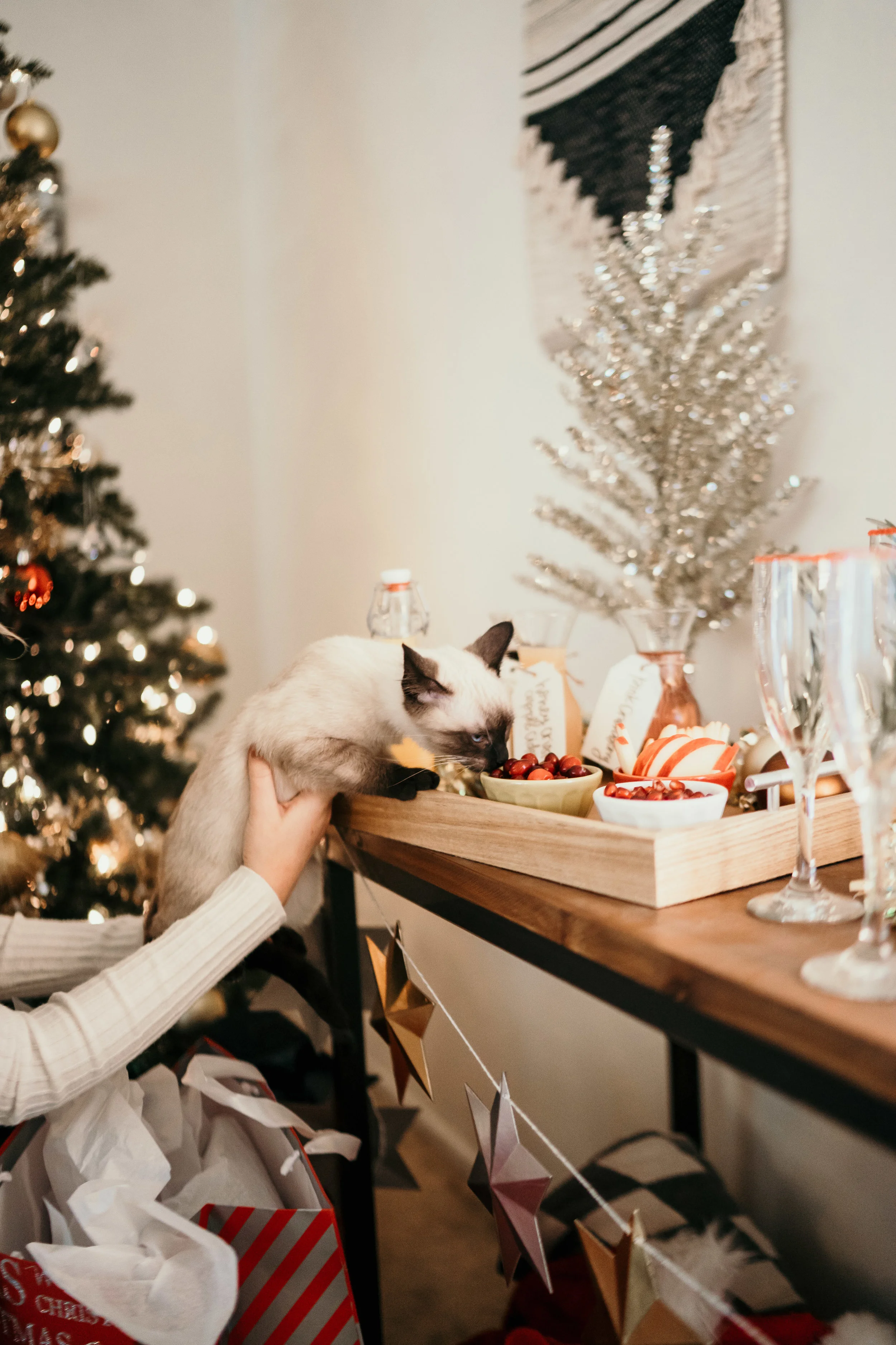 20181208_017_Phi Christmas Party-057.jpg
