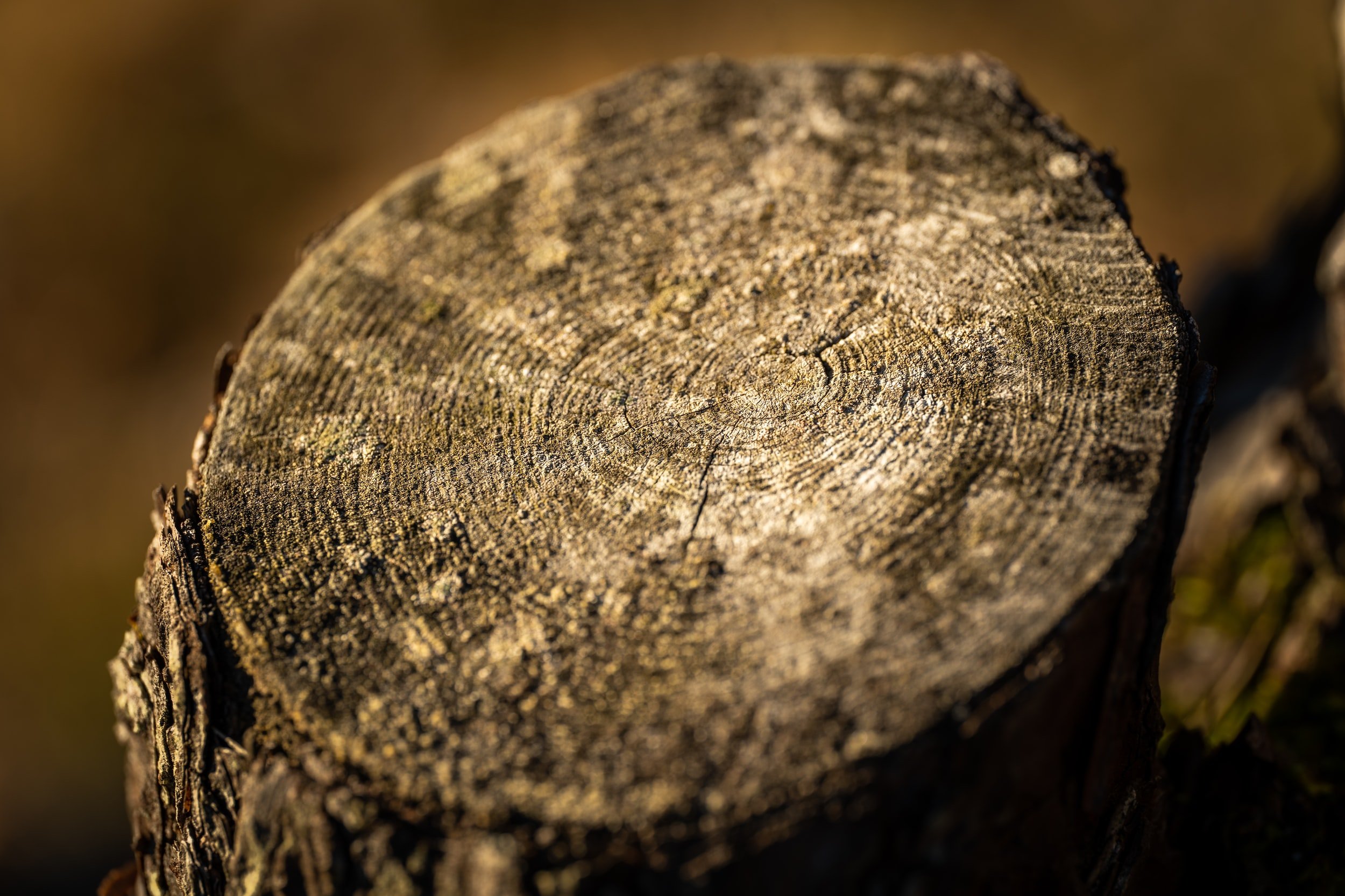 unsplash-image-O3HL6jVXfc8.jpg