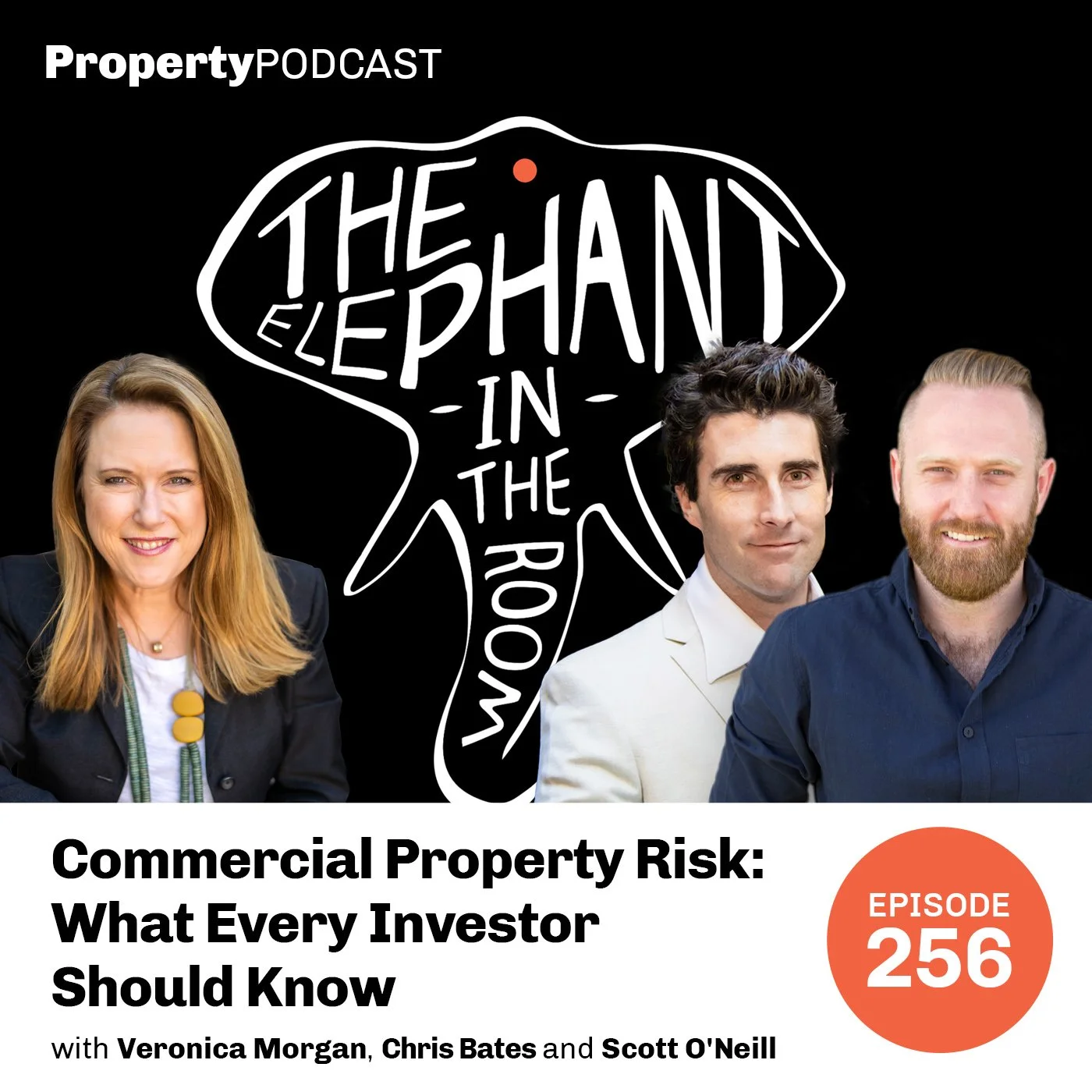 Episode 256: Commercial Property Risk: What Every Investor Should Know | Scott O’Neill, Rethink Investing