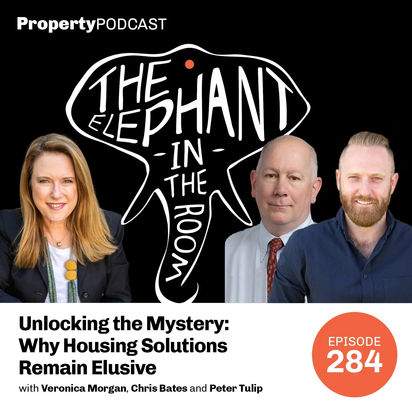 Episode 284: Unlocking the Mystery: Why Housing Solutions Remain Elusive