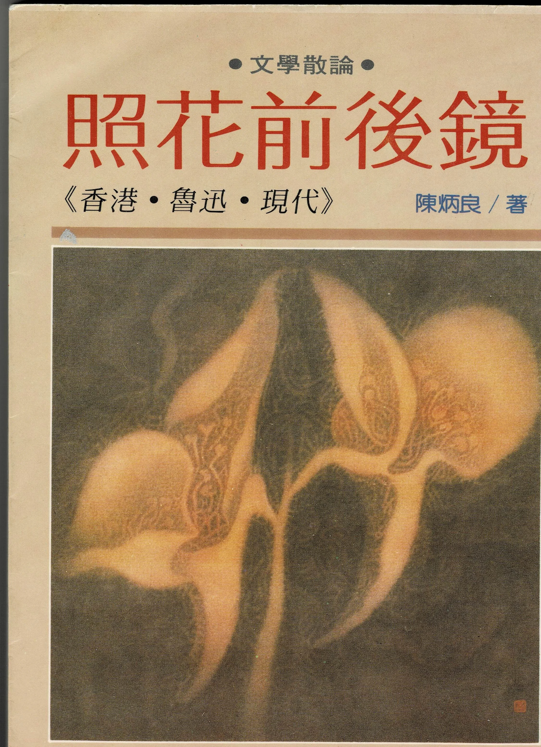 《照花前後鏡》書影