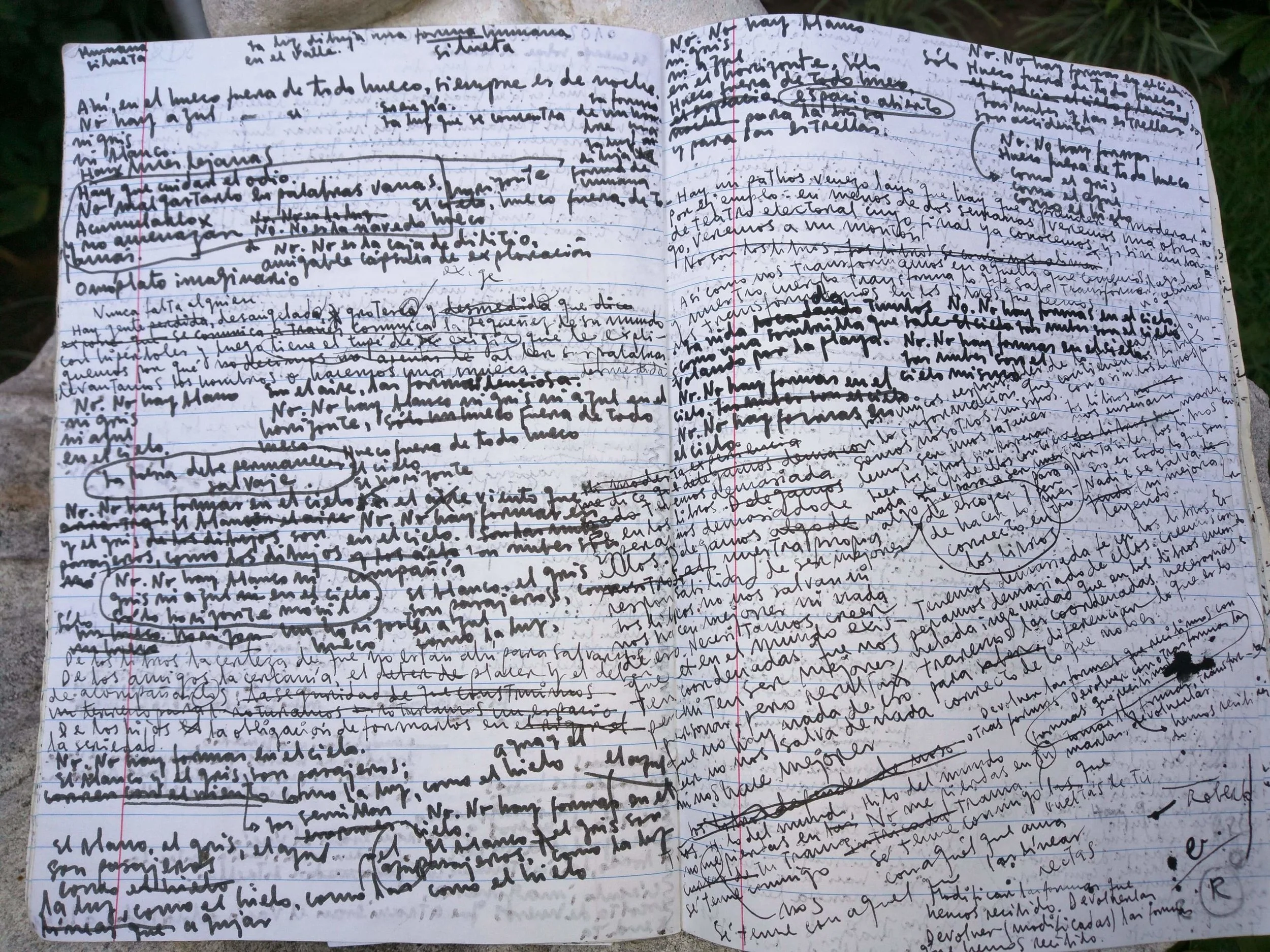 Roberto親自拍攝自己的筆記摘影,傳給本文作者,可見密集式書寫的西班牙文。
