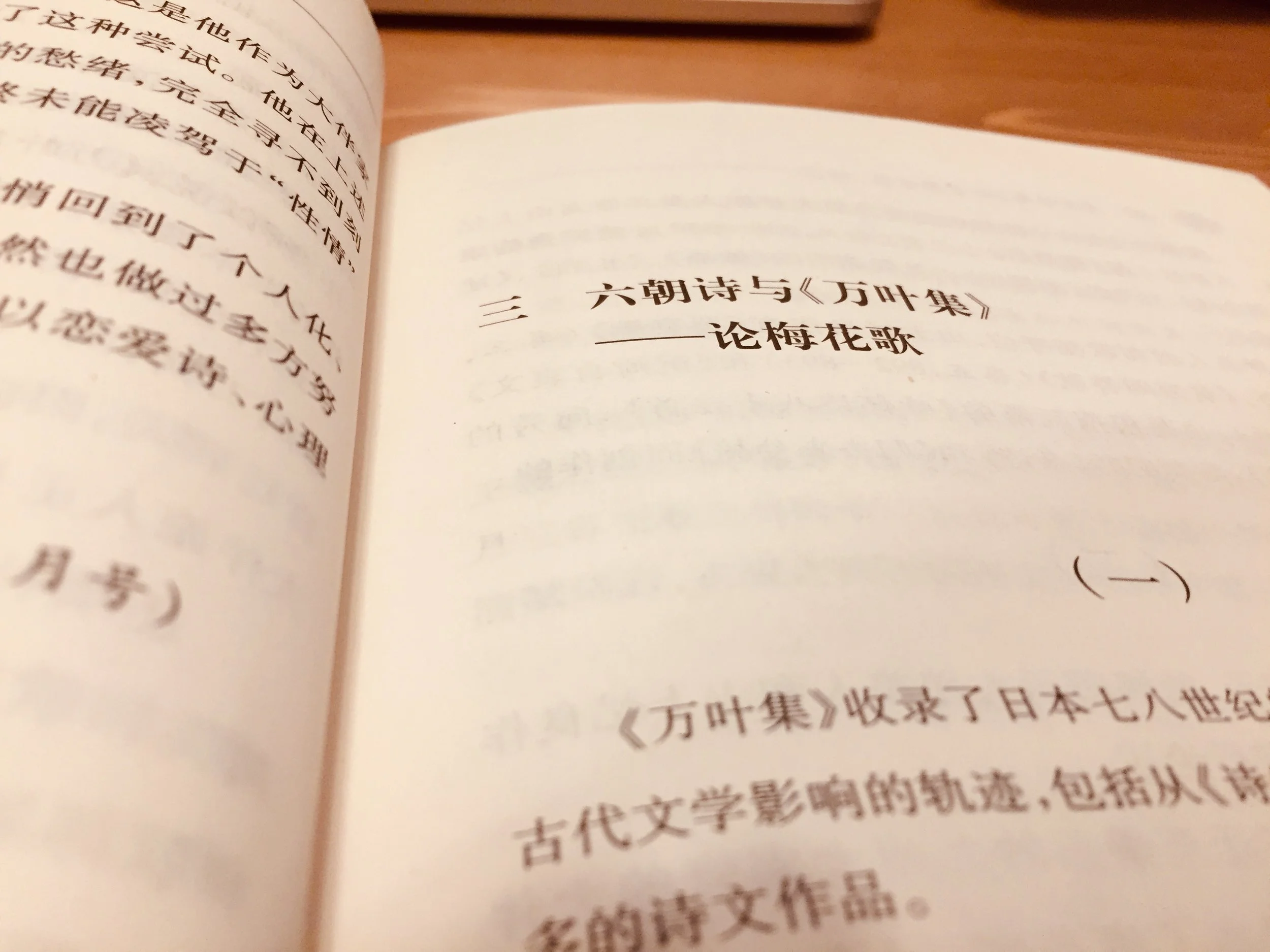 中西進著;劉雨珍、勾艷軍譯:《〈萬葉集〉與中國文化》