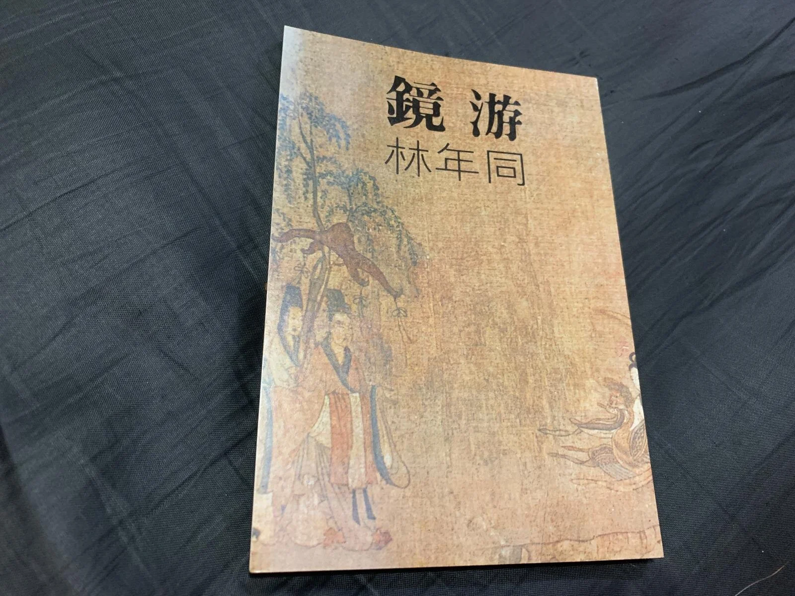 打開電影的大門——憶林年同