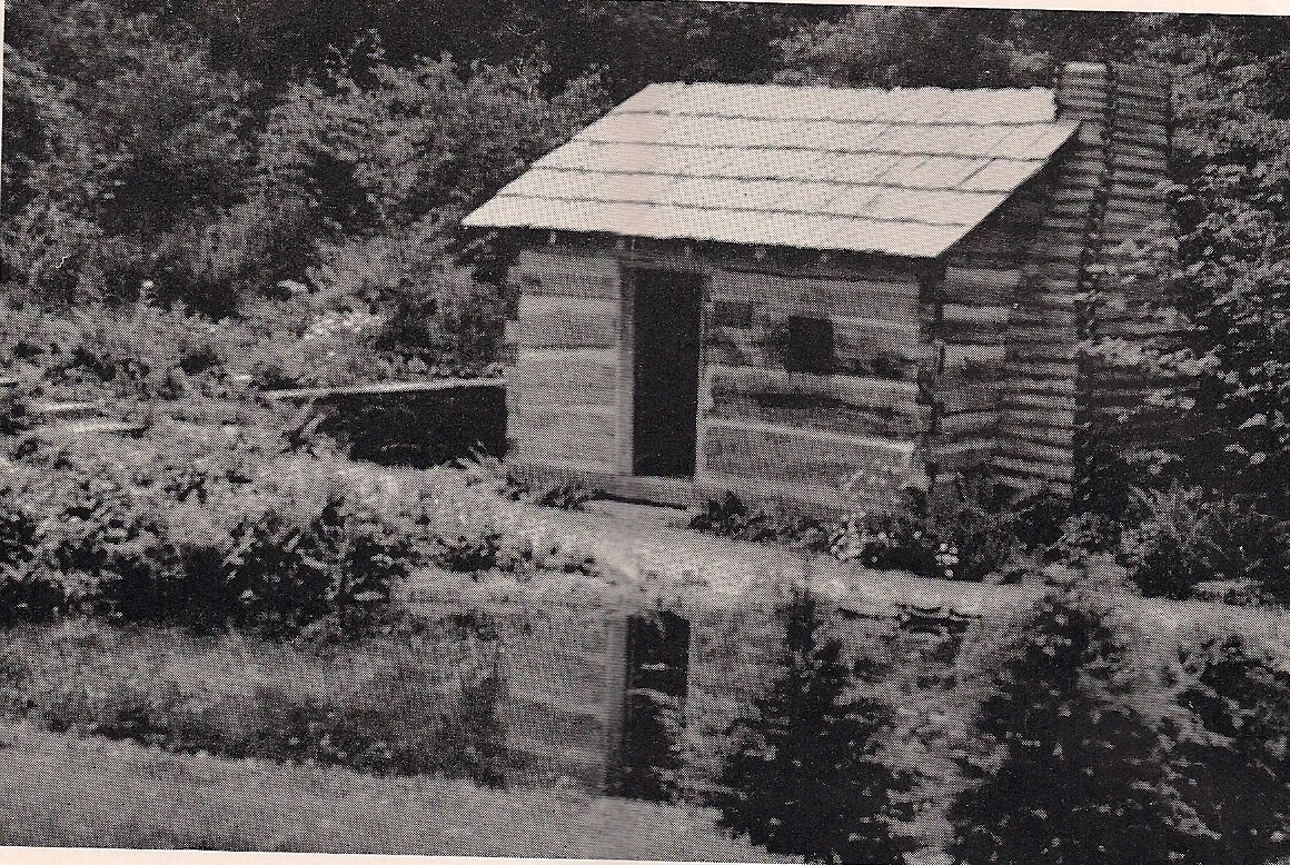 CABIN AND REFLECTING POOL - NOW A BOG AREA