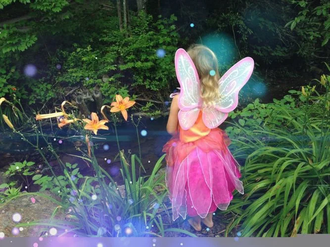Fairy Day 