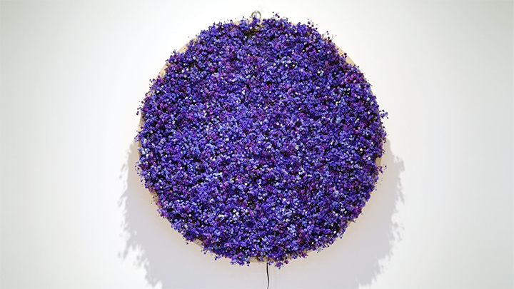 a_thousand_breaths_purple_front.png