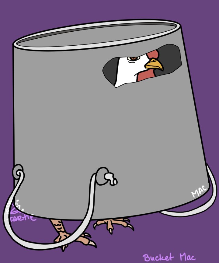 Bucket Mac 1_15_2021.jpg